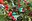 Charlotte-Gale-Photography-Knaresborough-Christmas-Market-12x8-1292.jpg