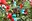 Charlotte-Gale-Photography-Knaresborough-Christmas-Market-12x8-1295.jpg