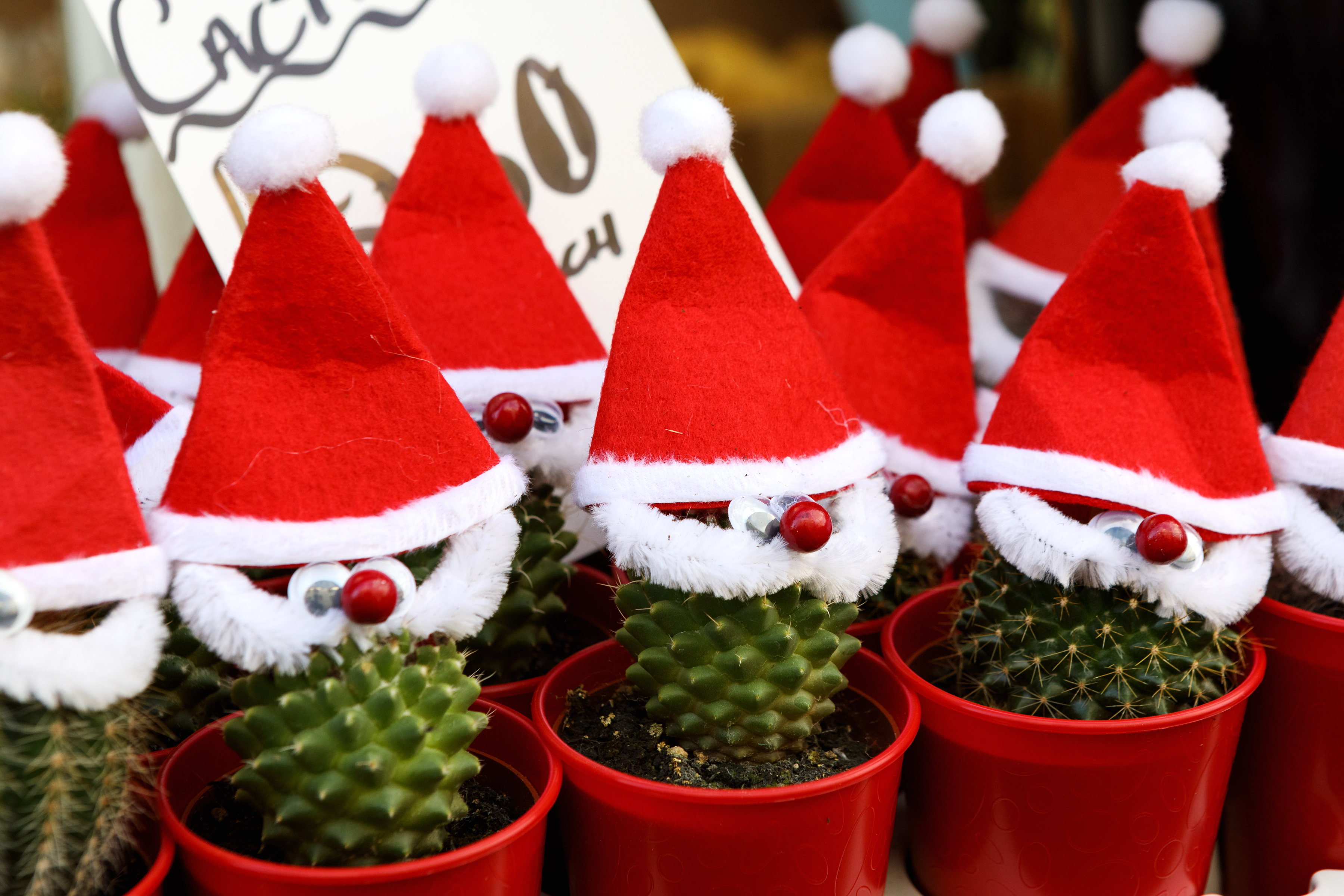 Charlotte-Gale-Photography-Knaresborough-Christmas-Market-12x8-1339.jpg