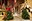 Charlotte-Gale-St-Johns-Christmas-Tree-Festival-12x8-1708t-PRINT.jpg