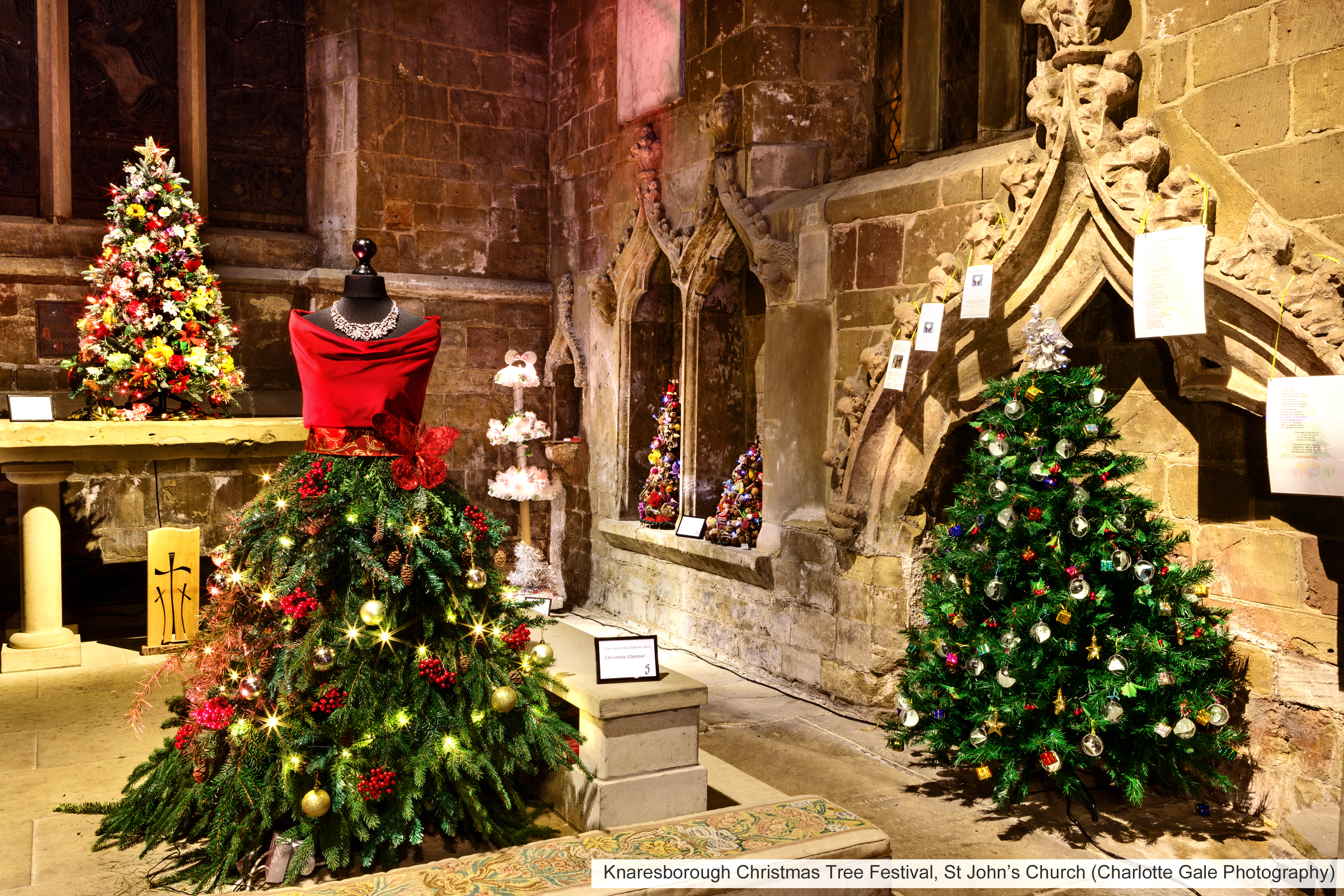 Charlotte-Gale-St-Johns-Christmas-Tree-Festival-12x8-1708t-PRINT.jpg