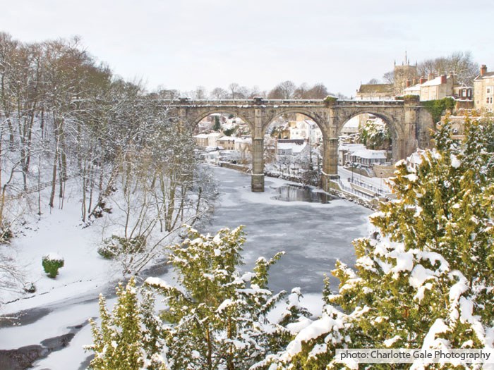 Copyright-Charlotte-Gale-Photography-Frozen-Nidd.jpg