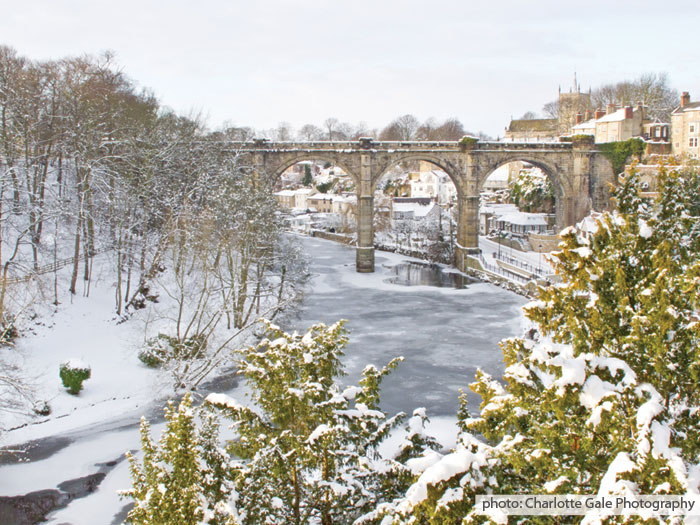 Copyright-Charlotte-Gale-Photography-Frozen-Nidd.jpg