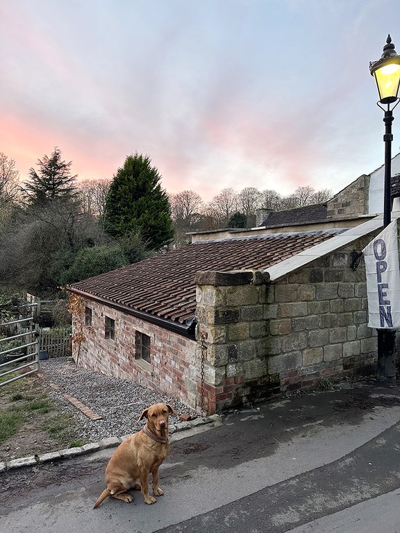 The Cow Shed Waterside