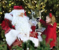 Santa at Mother Shipton's